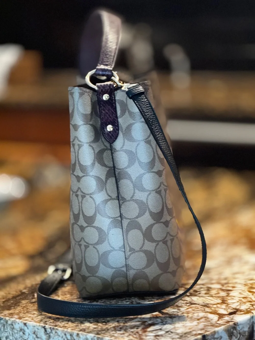 Coach Basquiat Rexie Bucket Bag Limited Signature Canvas